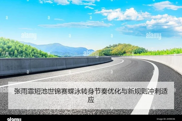 zhang-yu-fei-duan-chi-shi-jin-sai-die-yong-zhuan-shen-jie-zou-you-hua-yu-xin-gui-ze-chong-ci-shi-ying-2-622.jpg